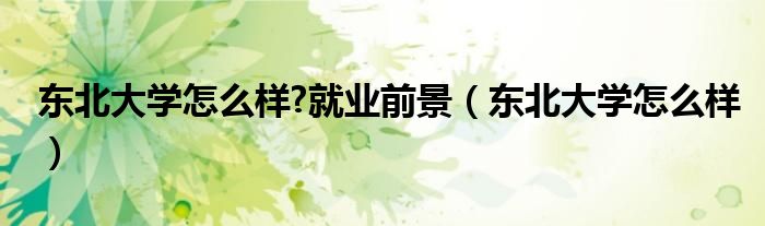 东北大学怎么样?就业前景（东北大学怎么样）
