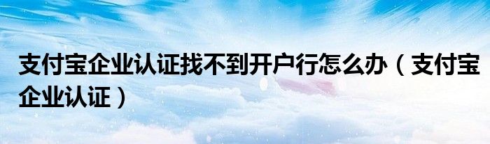 支付宝企业认证找不到开户行怎么办(支付宝企业认证)