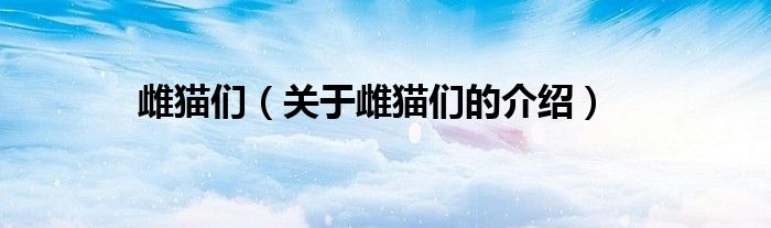 雌猫们（关于雌猫们的介绍）