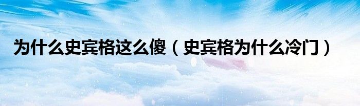 为什么史宾格这么傻（史宾格为什么冷门）
