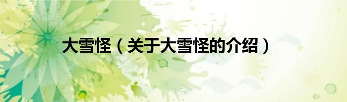 大雪怪（关于大雪怪的介绍）