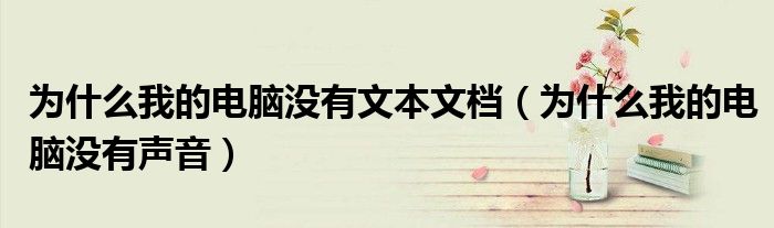 为什么我的电脑没有文本文档（为什么我的电脑没有声音）