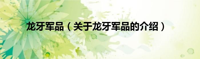 龙牙军品（关于龙牙军品的介绍）