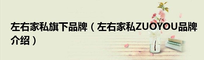 左右家私旗下品牌(左右家私ZUOYOU品牌介绍)