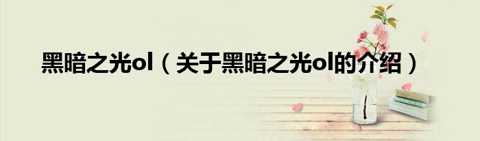 黑暗之光ol（关于黑暗之光ol的介绍）