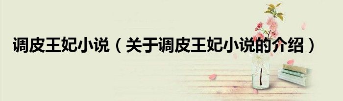 调皮王妃小说（关于调皮王妃小说的介绍）