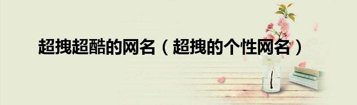 超拽超酷的网名（超拽的个性网名）