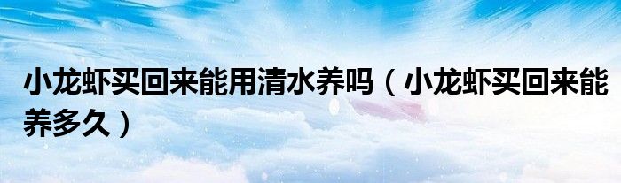 小龙虾买回来能用清水养吗（小龙虾买回来能养多久）