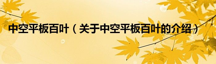 中空平板百叶（关于中空平板百叶的介绍）