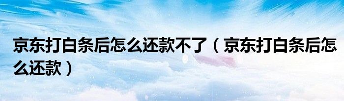 京东打白条后怎么还款不了（京东打白条后怎么还款）