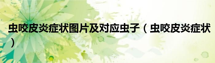虫咬皮炎症状图片及对应虫子（虫咬皮炎症状）