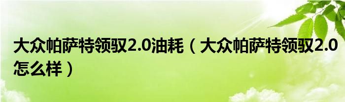 大众帕萨特领驭2.0油耗（大众帕萨特领驭2.0怎么样）