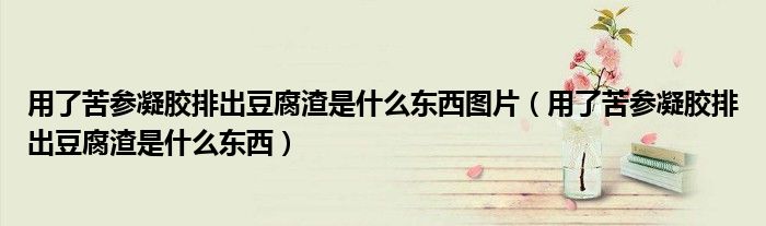 用了苦参凝胶排出豆腐渣是什么东西图片（用了苦参凝胶排出豆腐渣是什么东西）