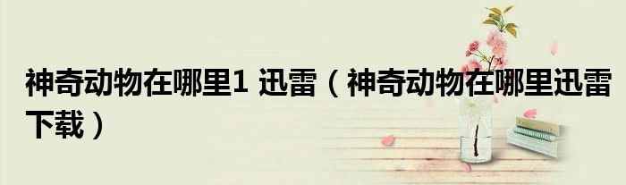 神奇动物在哪里1 迅雷(神奇动物在哪里迅雷下载)