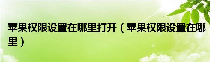 苹果权限设置在哪里打开（苹果权限设置在哪里）