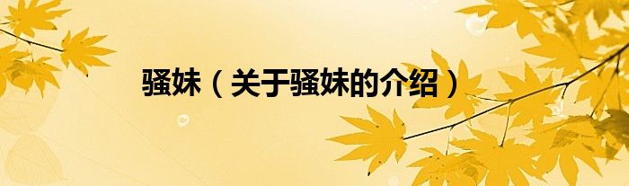 骚妹（关于骚妹的介绍）