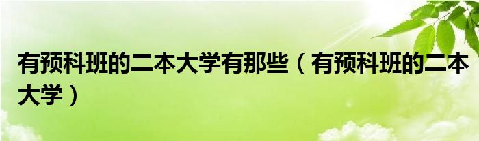 有预科班的二本大学有那些（有预科班的二本大学）