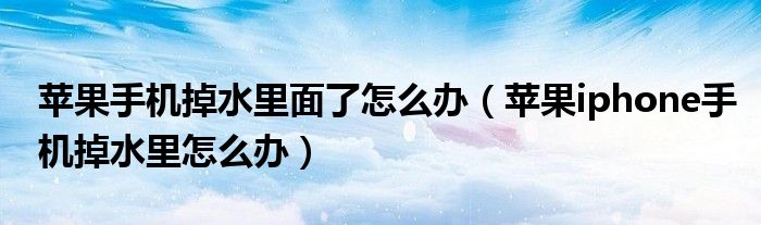 苹果手机掉水里面了怎么办（苹果iphone手机掉水里怎么办）