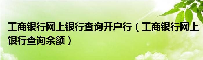 工商银行网上银行查询开户行（工商银行网上银行查询余额）