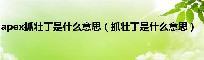 apex抓壮丁是什么意思（抓壮丁是什么意思）