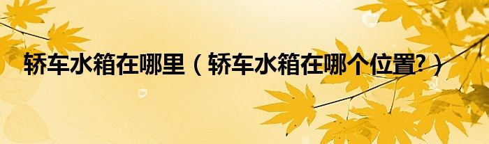 轿车水箱在哪里（轿车水箱在哪个位置?）