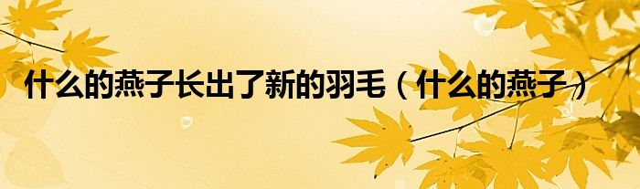 什么的燕子长出了新的羽毛（什么的燕子）