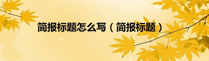 简报标题怎么写（简报标题）