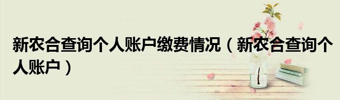 新农合查询个人账户缴费情况（新农合查询个人账户）