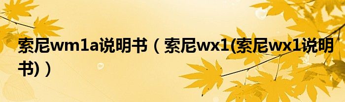 索尼wm1a说明书（索尼wx1(索尼wx1说明书)）