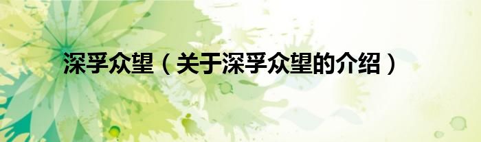 深孚众望（关于深孚众望的介绍）