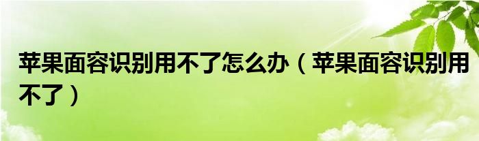 苹果面容识别用不了怎么办（苹果面容识别用不了）