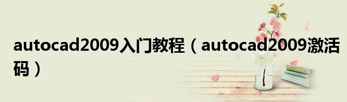 autocad2009入门教程（autocad2009激活码）