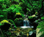 黑客越狱T2安全芯片用于苹果电脑不可修复的缺陷